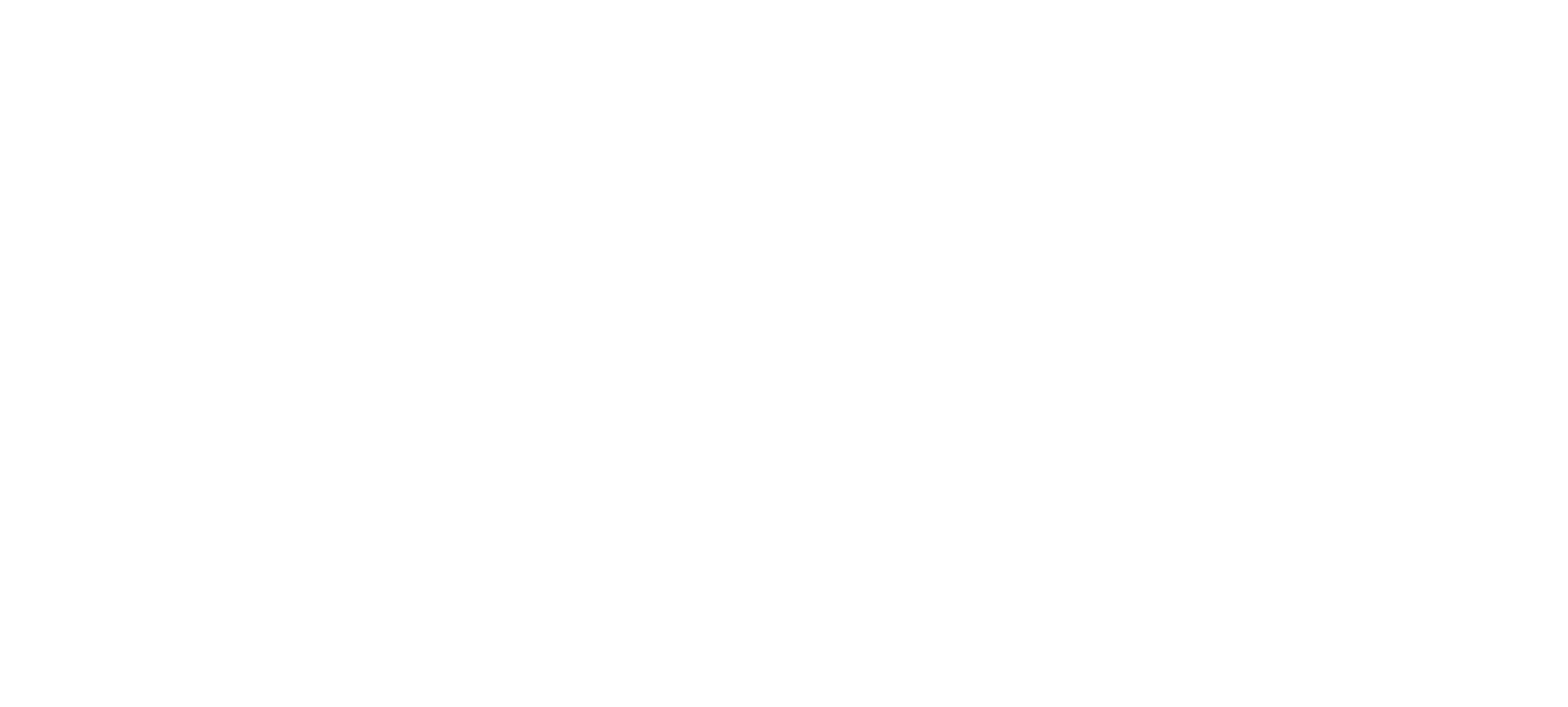 Fhv Logo White
